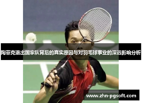 陶菲克退出国家队背后的真实原因与对羽毛球事业的深远影响分析