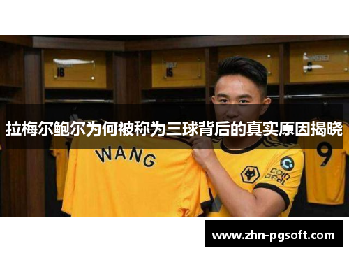 拉梅尔鲍尔为何被称为三球背后的真实原因揭晓