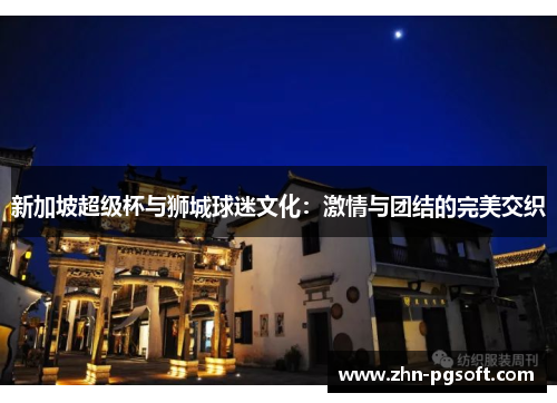 新加坡超级杯与狮城球迷文化：激情与团结的完美交织